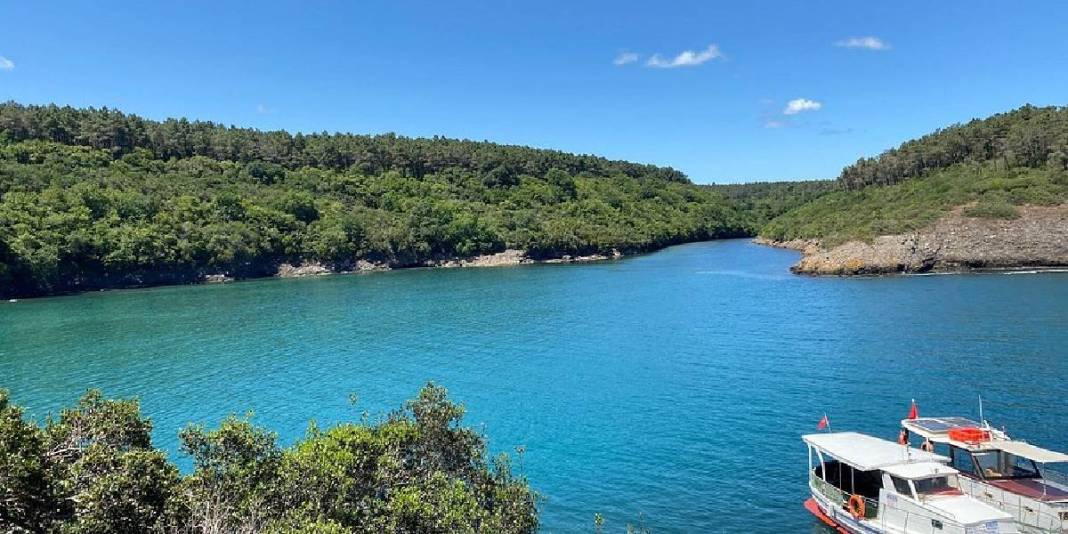 Yurtdışı sanmayın! Gizli cennet Türkiye’den: Koyda orman, ufukta bakır renginde gökyüzü! 2